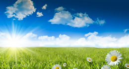 Cheerful and Happy Music