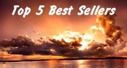 Top 5 Best Sellers
