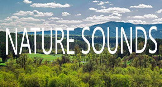 Nature Sounds
