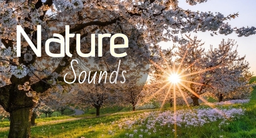 Nature Sounds
