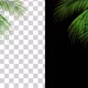 Palm Leaves Moving Background Alpha - VideoHive Item for Sale